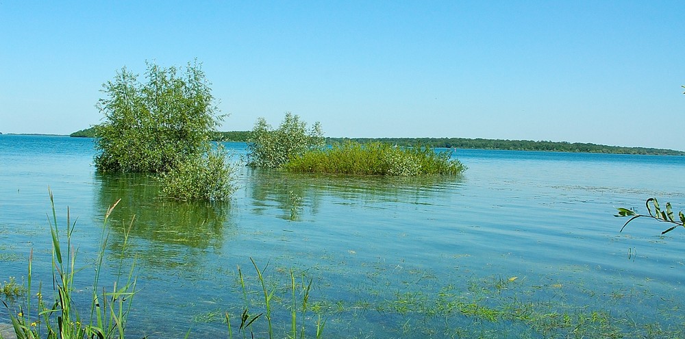 Lac du der 3 c